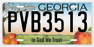 GA license plate PVB3513