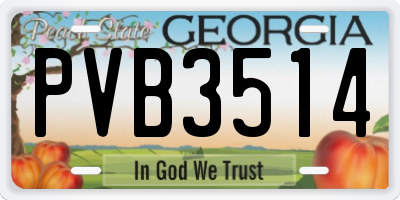 GA license plate PVB3514