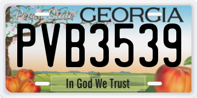 GA license plate PVB3539