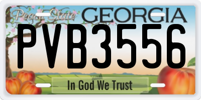 GA license plate PVB3556