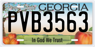 GA license plate PVB3563