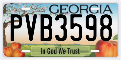 GA license plate PVB3598