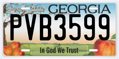 GA license plate PVB3599