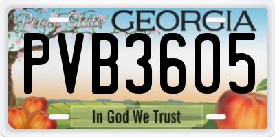 GA license plate PVB3605