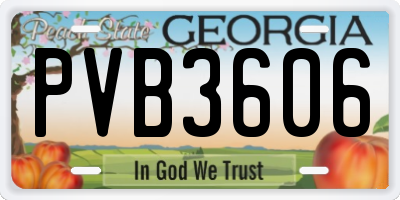 GA license plate PVB3606