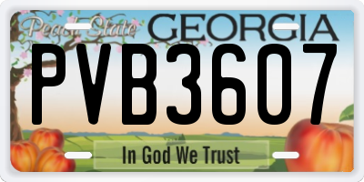 GA license plate PVB3607
