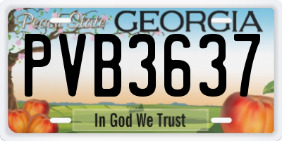 GA license plate PVB3637