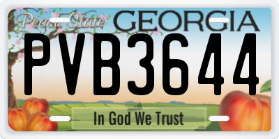 GA license plate PVB3644