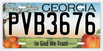 GA license plate PVB3676