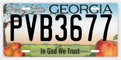 GA license plate PVB3677
