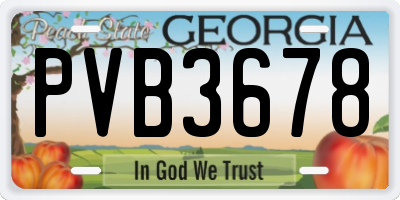 GA license plate PVB3678