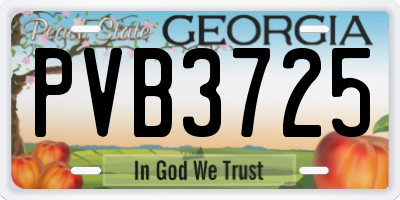 GA license plate PVB3725