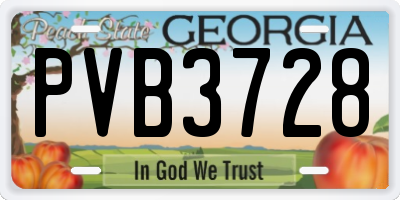 GA license plate PVB3728