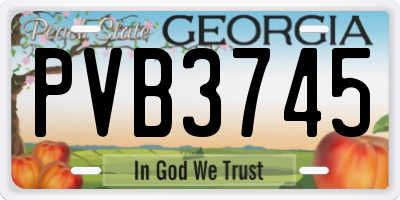 GA license plate PVB3745