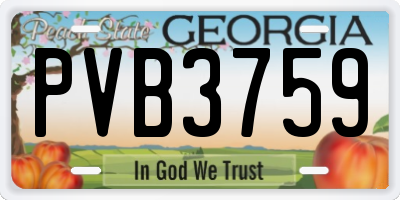 GA license plate PVB3759