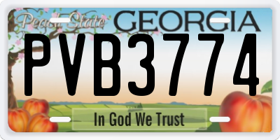 GA license plate PVB3774