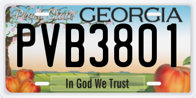 GA license plate PVB3801
