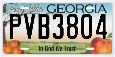 GA license plate PVB3804