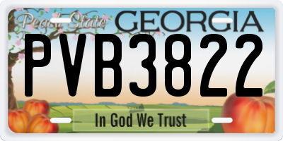GA license plate PVB3822