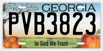 GA license plate PVB3823