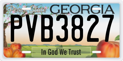 GA license plate PVB3827