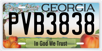 GA license plate PVB3838