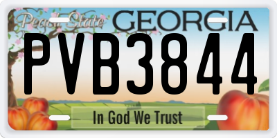 GA license plate PVB3844