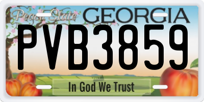 GA license plate PVB3859