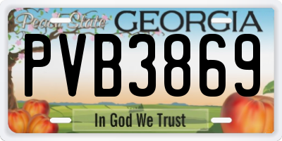 GA license plate PVB3869