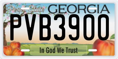 GA license plate PVB3900
