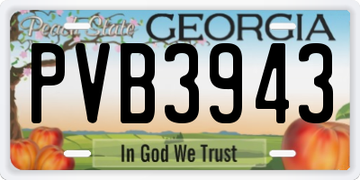 GA license plate PVB3943