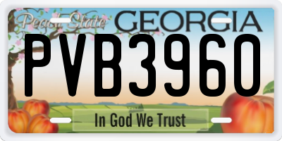 GA license plate PVB3960