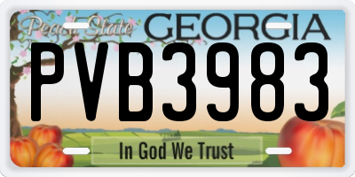 GA license plate PVB3983