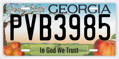 GA license plate PVB3985
