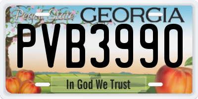 GA license plate PVB3990