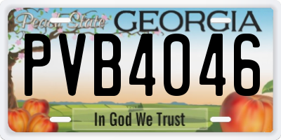 GA license plate PVB4046