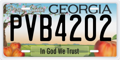 GA license plate PVB4202