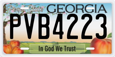 GA license plate PVB4223