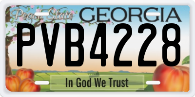GA license plate PVB4228