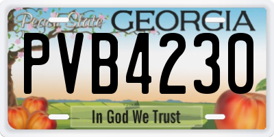 GA license plate PVB4230