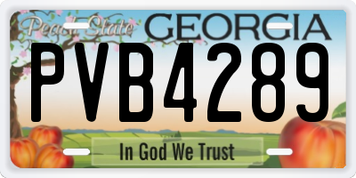 GA license plate PVB4289