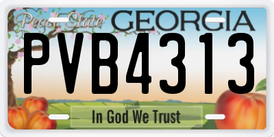 GA license plate PVB4313