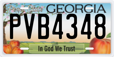 GA license plate PVB4348