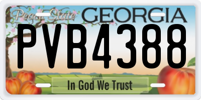 GA license plate PVB4388