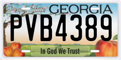 GA license plate PVB4389