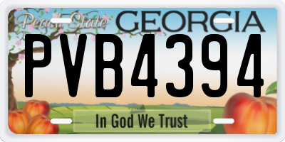 GA license plate PVB4394