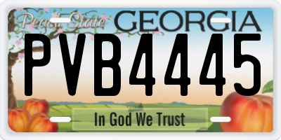 GA license plate PVB4445
