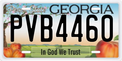 GA license plate PVB4460