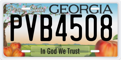 GA license plate PVB4508