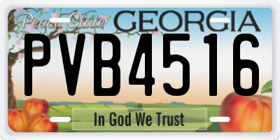 GA license plate PVB4516